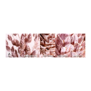 Mostră de Tapet Standard Eco - Aparent discrete - Floare uscată, Floare, luncă - 100x30 cm