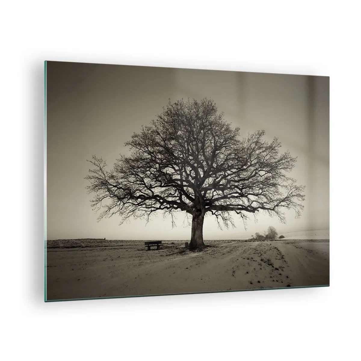 Tablou pe sticlă - Un copac singuratic într-un peisaj monocromatic - 70x50cm - De aici până în veșnicie - Decorațiune modernă pentru perete pentru living și dormitor ARTTOR