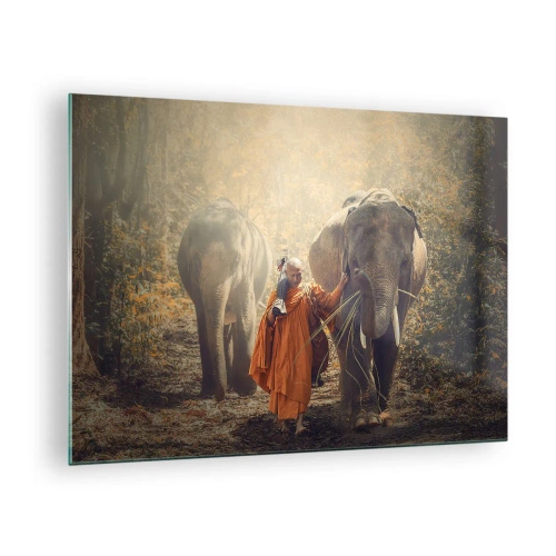 Tablou pe sticlă - Un călugăr cu doi elefanți într-un cadru forestier - 70x50cm - Înțelegere deplină - Decorațiune modernă pentru perete pentru living și dormitor ARTTOR