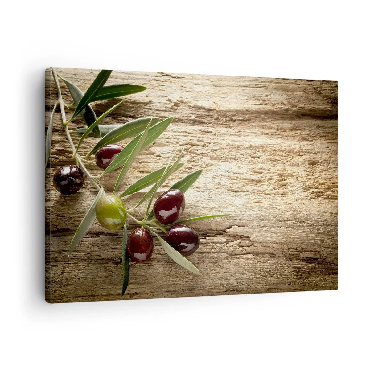 Tablou pe pânză Canvas - ramură de măslin cu fructe pe un fundal de lemn învechit - 70x50cm - Direct din natură - Decorațiune modernă pentru perete pentru living și dormitor ARTTOR