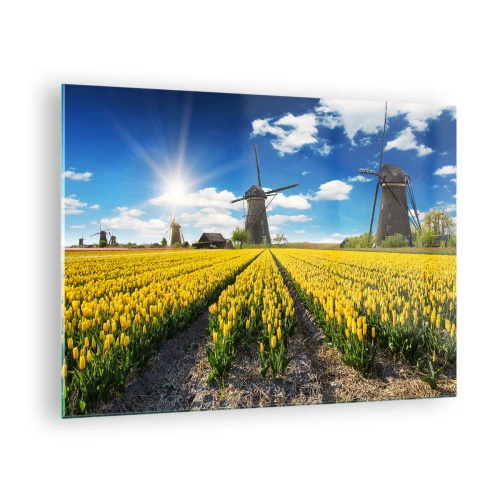Tablou pe sticlă - Un câmp de lalele galbene cu mori de vânt în fundal, într-o zi însorită. - 70x50cm - Olandez pe cât se poate - Decorațiune modernă pentru perete pentru living și dormitor ARTTOR