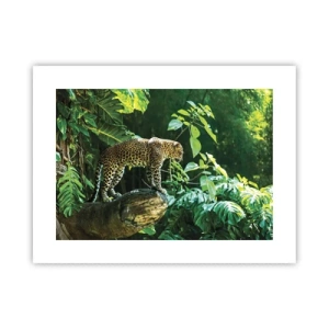 Poster - La vânătoare? - 40x30 cm