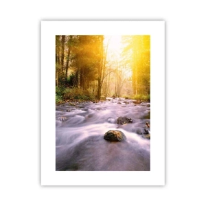 Poster - Malachit în rame de argint și aur - 30x40 cm