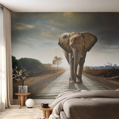 Tapet Premium Canvas - Și-a pierdut cipicii... - Elefant, Peisaj, Natură - 450x315 cm