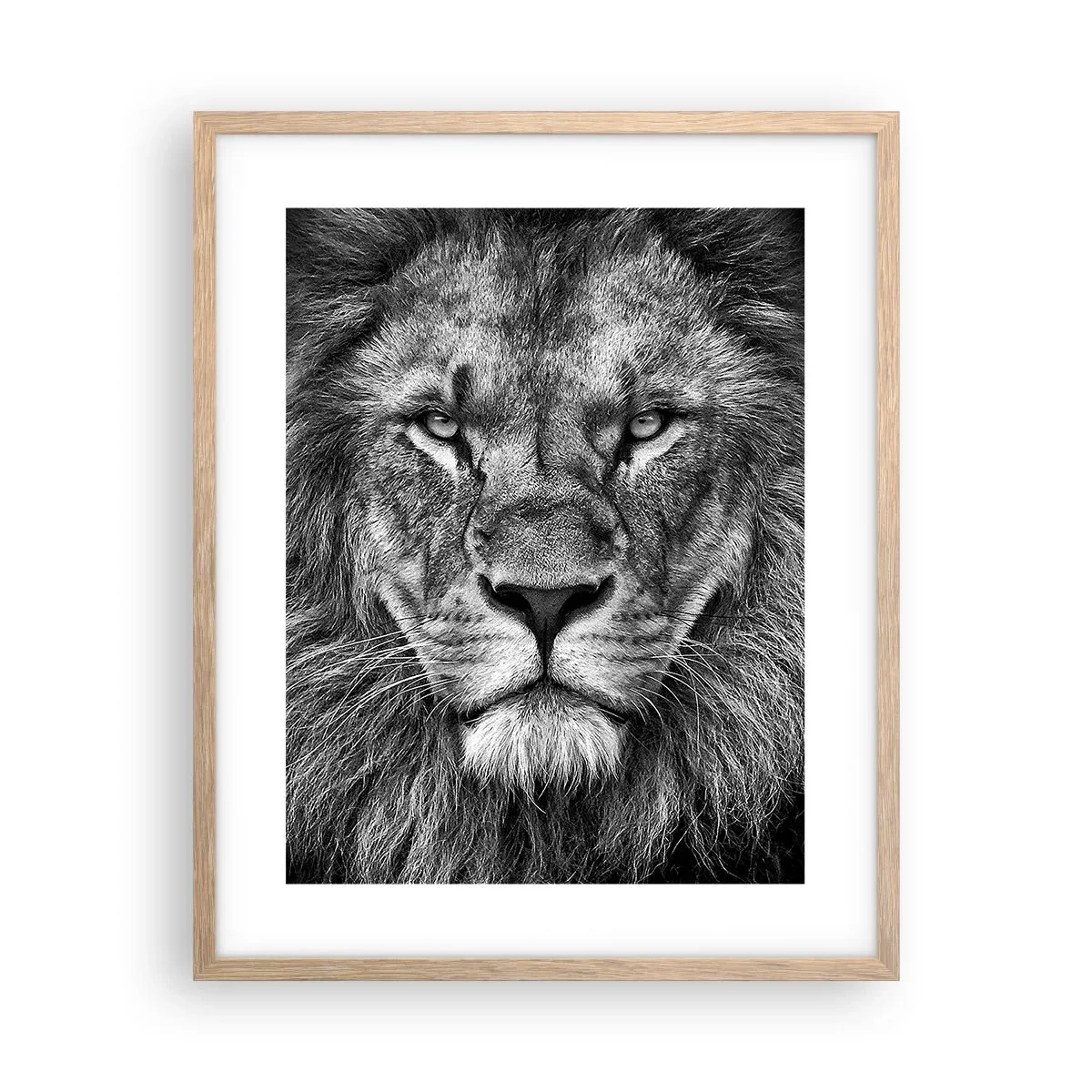 Poster în ramă de stejar deschis - În ținuta de încoronare - 40x50 cm