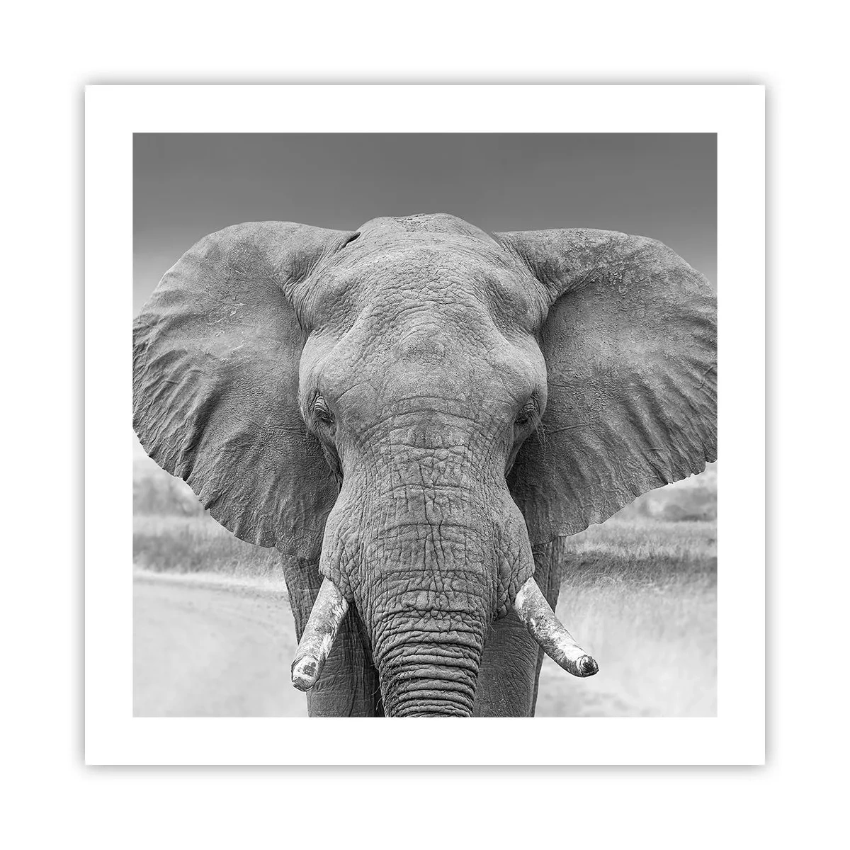 Poster - Bun venit în lumea mea - 50x50 cm