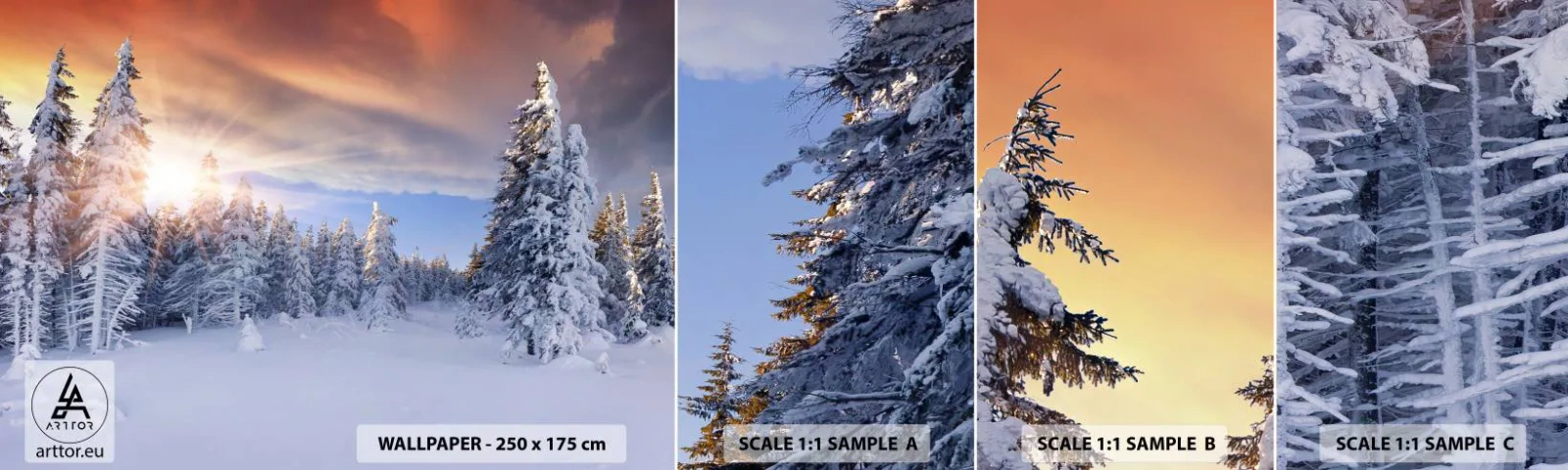 Mostră de Tapet Standard Eco - Spectacolul naturii înzăpezite - Peisaj, pădure, Iarnă - 100x30 cm