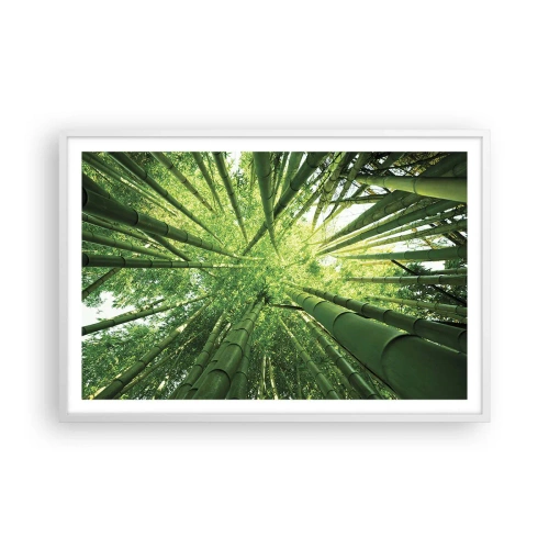 Poster în ramă albă - Într-o pădure de bambus - 91x61 cm