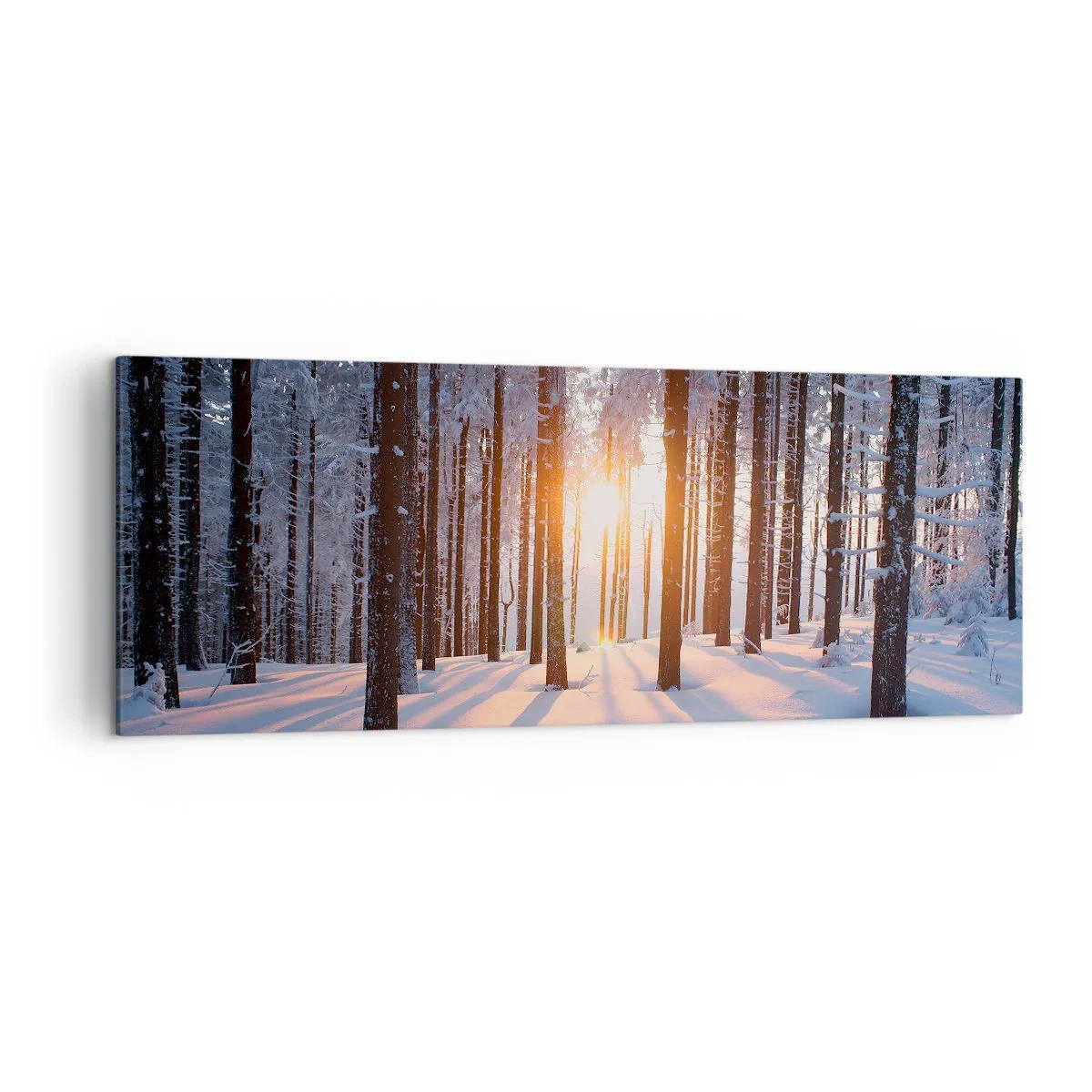 Tablou pe pânză - În mod clar în alb și negru - 140x50 cm