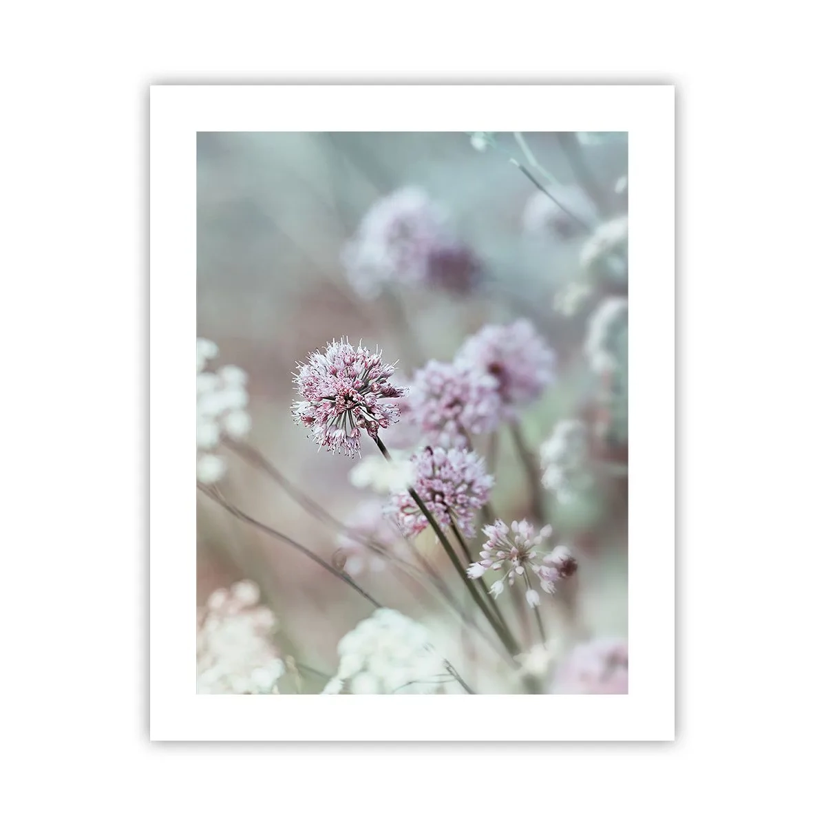 Poster - Ierburi dulci filigranate - 40x50 cm
