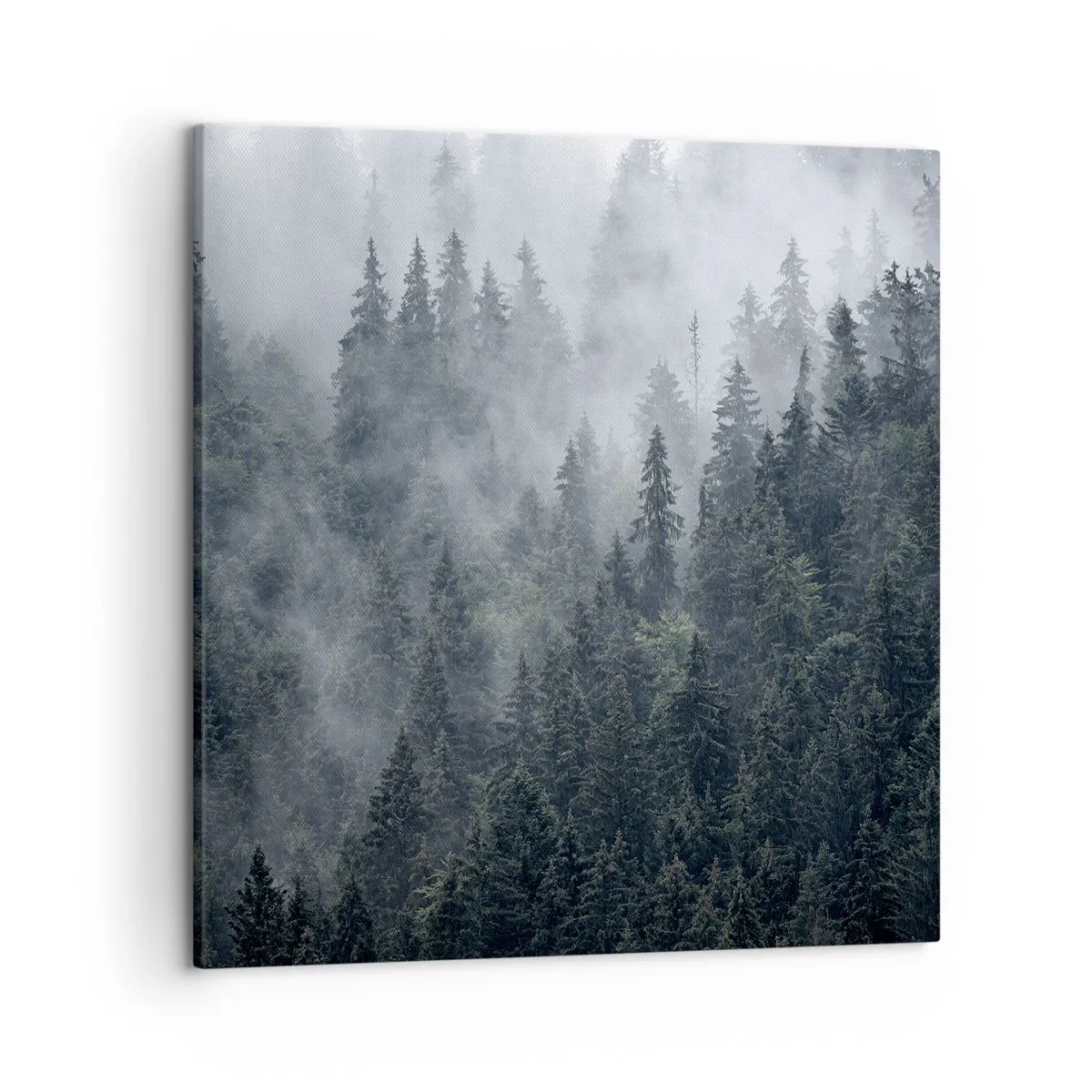 Tablou pe pânză - Zori de pădure - 50x50 cm