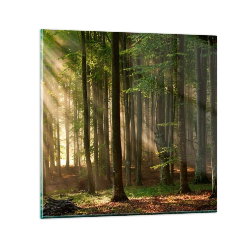 Tablou pe sticlă - Strălucitoare într-o dimineață de primăvară - 40x40 cm