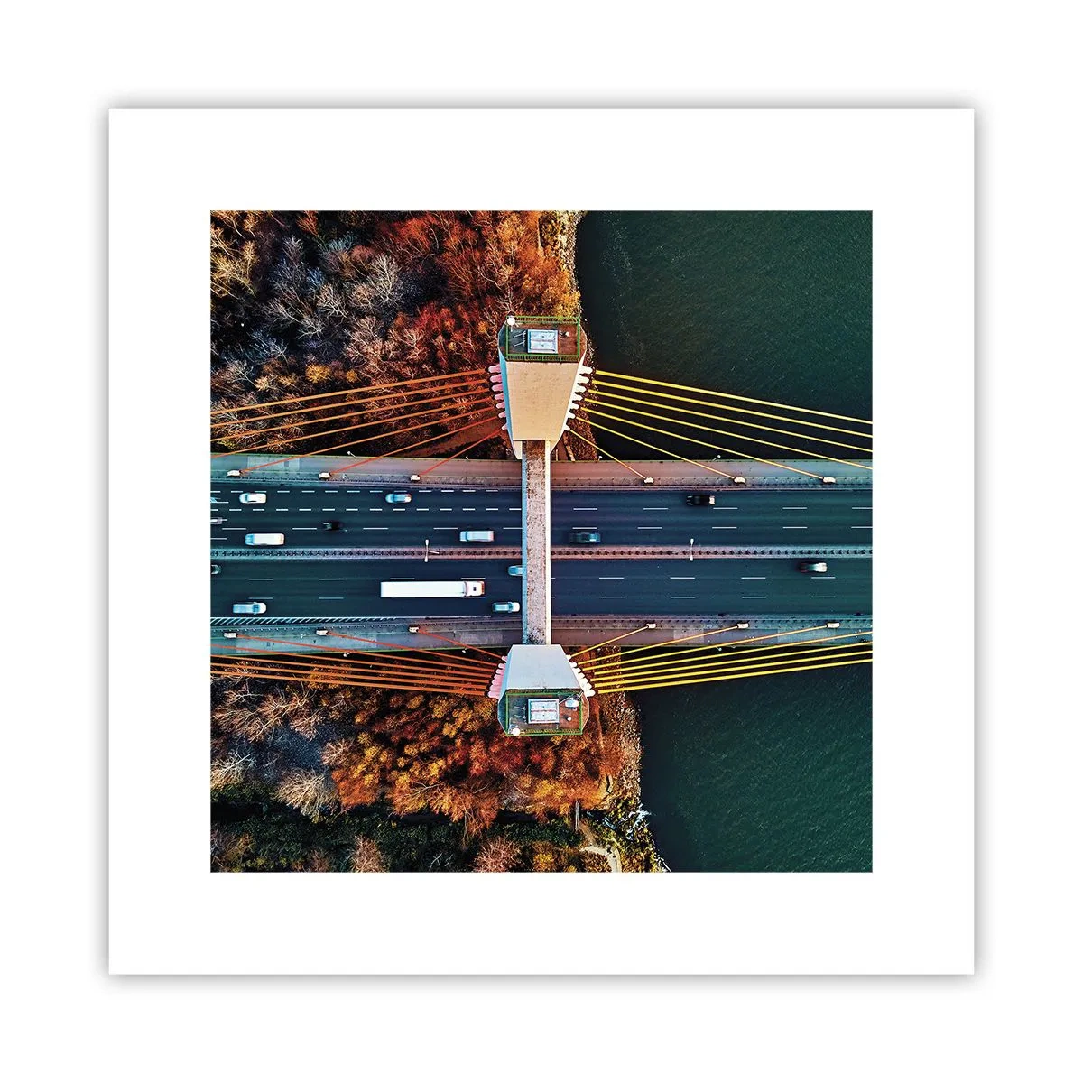 Poster - Din pădure spre apă - 30x30 cm