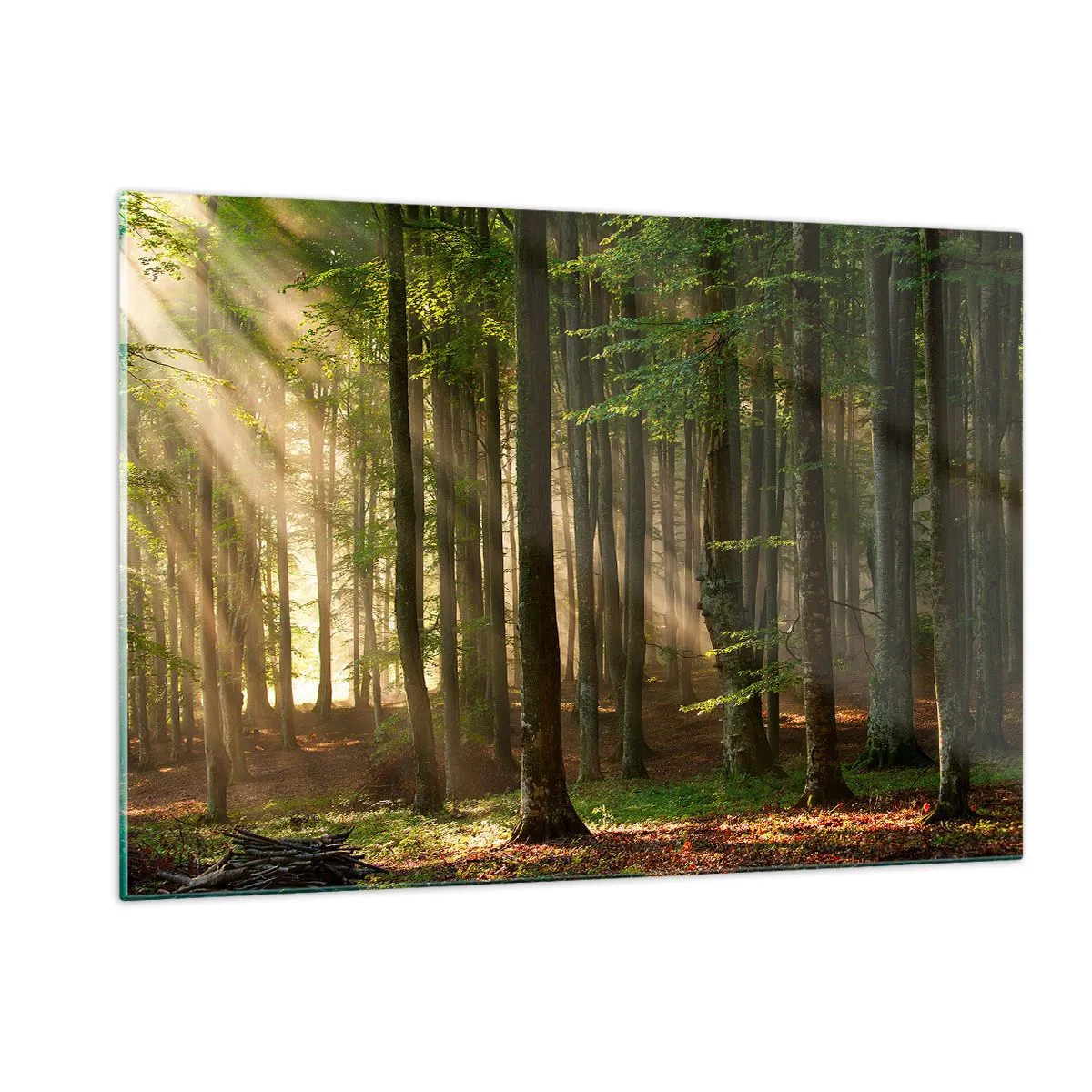 Tablou pe sticlă - Strălucitoare într-o dimineață de primăvară - 120x80 cm