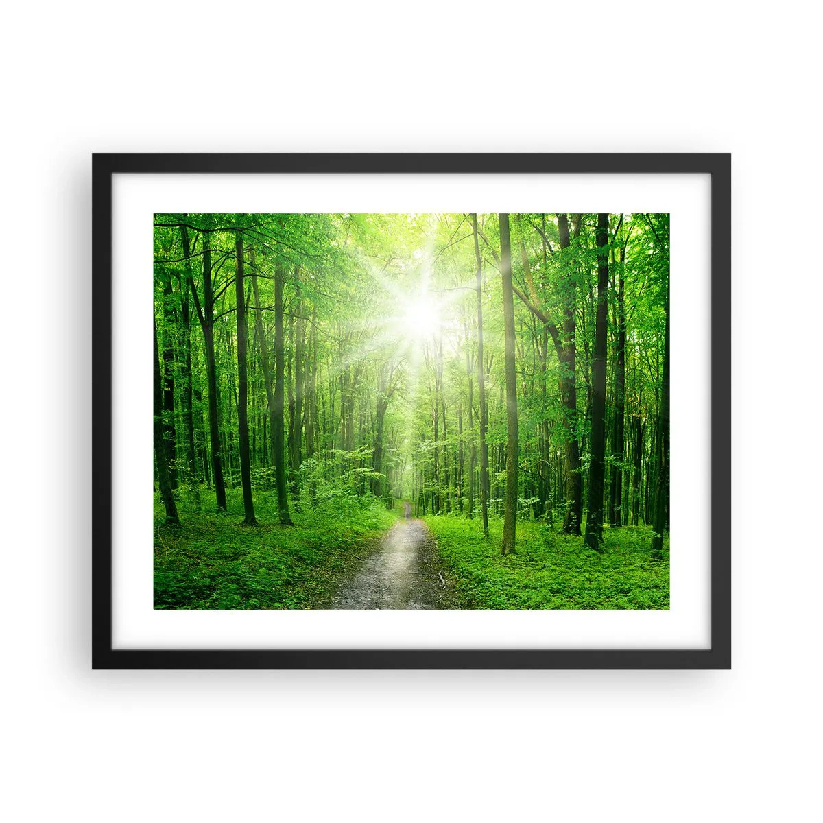 Poster în ramă neagră - Catedrala verde - 50x40 cm