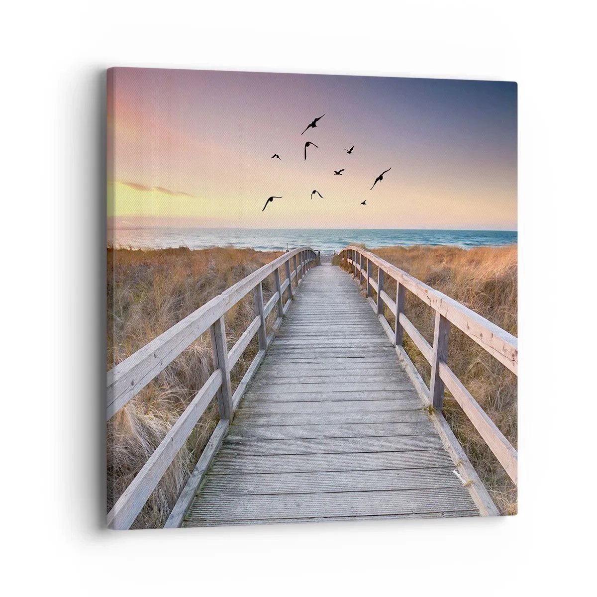 Tablou pe pânză - Spațiul pentru a zbura - 40x40 cm