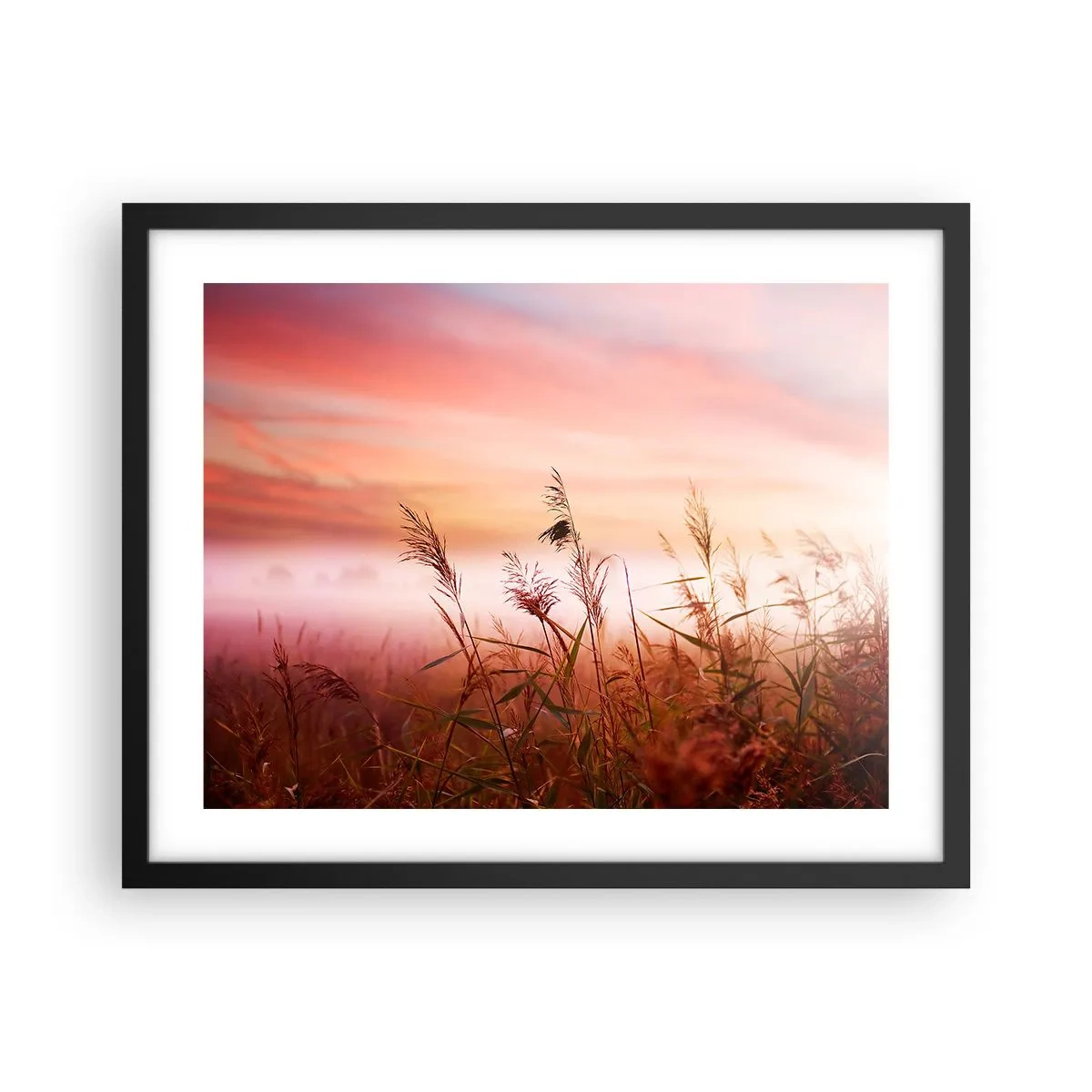 Poster în ramă neagră - Zmeuri, suflante, vânt - 50x40 cm