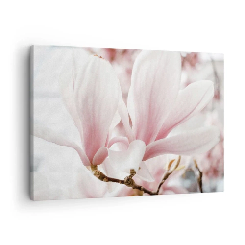 Tablou pe pânză Canvas - Flori delicate de magnolie în nuanțe pastelate - 70x50cm - Imensitatea sensibilității - Decorațiune modernă pentru perete pentru living și dormitor ARTTOR