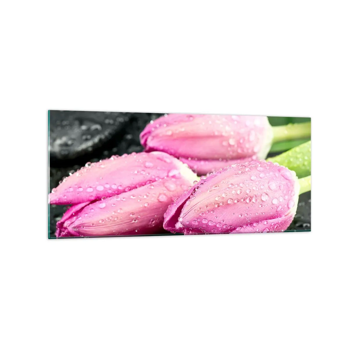 Tablou pe sticlă - Pe piatră neagră - 120x50 cm