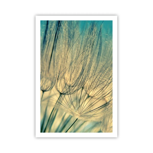 Poster - Așteptând vântul - 61x91 cm