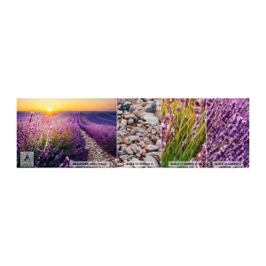 Mostră tapet Premium Canvas - Câmpul parfumat - Peisaj, Câmp de lavandă, Provence - 100x30 cm