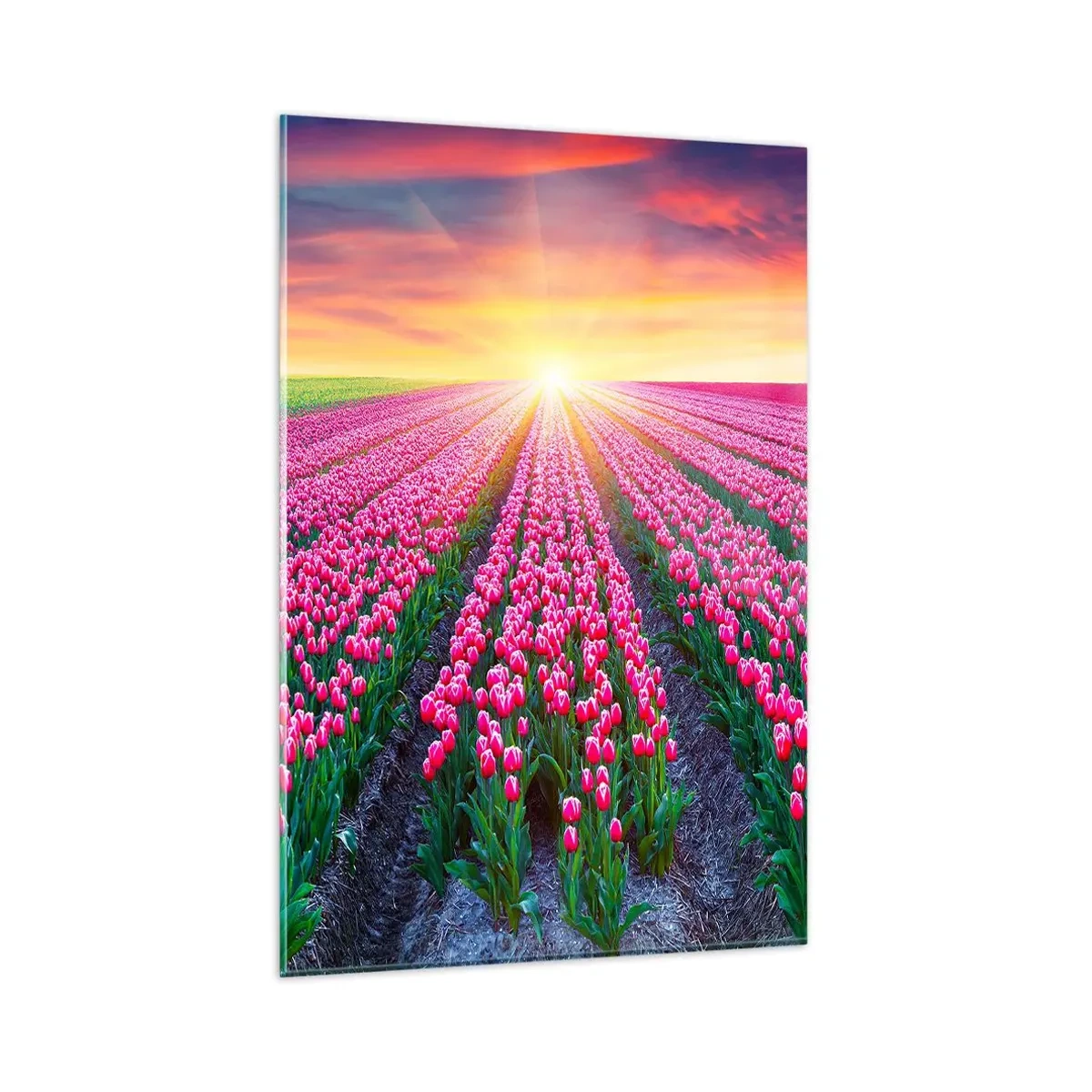 Tablou pe sticlă - Ferma de frumusețe - 80x120 cm