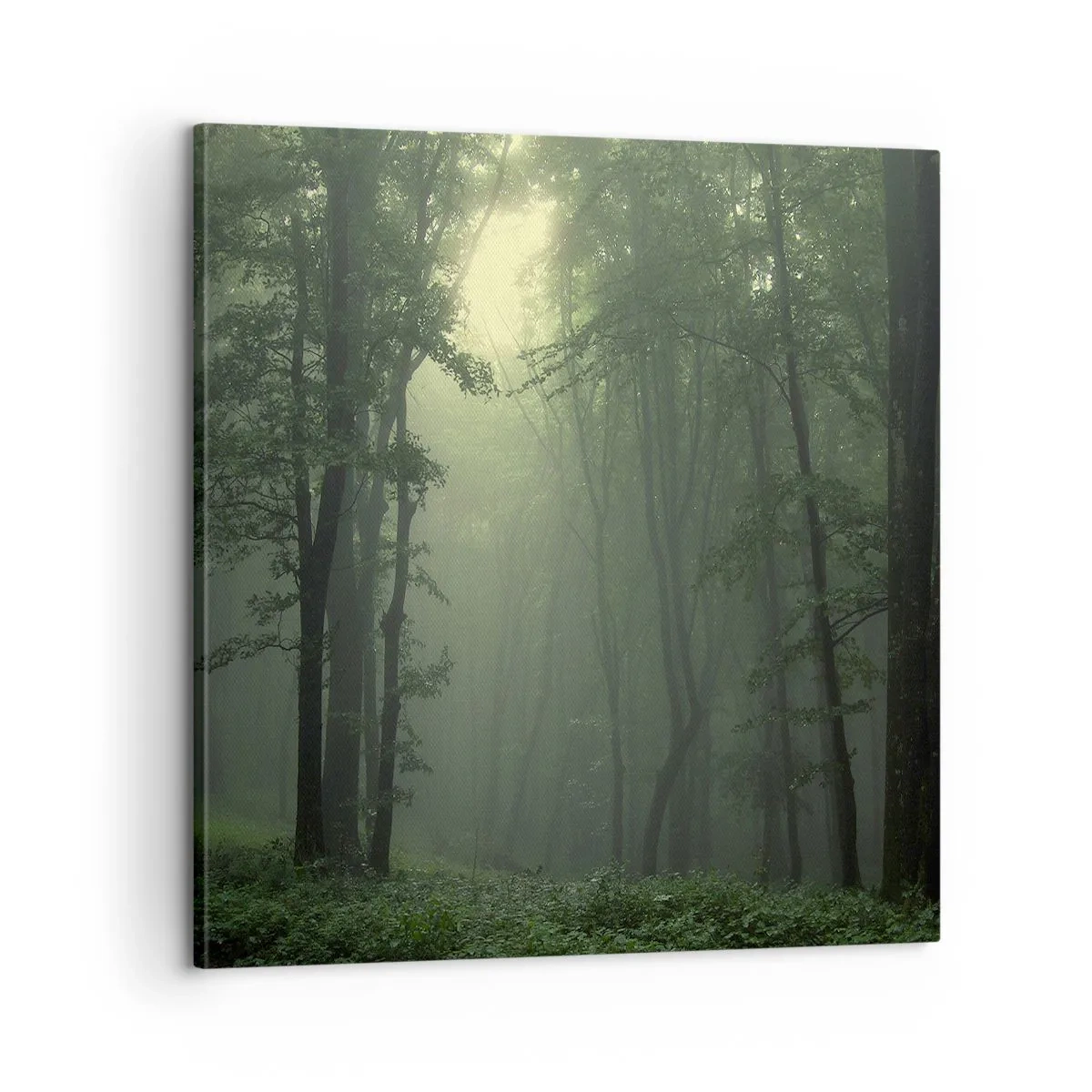 Tablou pe pânză - Înainte să se trezească - 60x60 cm