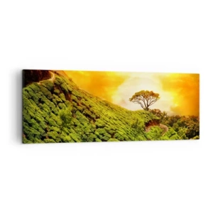 Tablou pe pânză - O cărare sinuoasă, o pantă verde - 140x50 cm