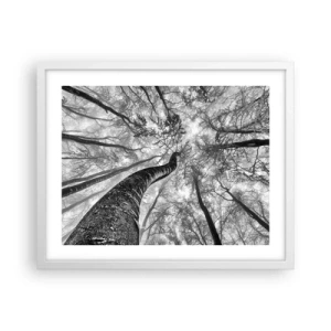 Poster în ramă albă - Cursa spre lumină - 50x40 cm