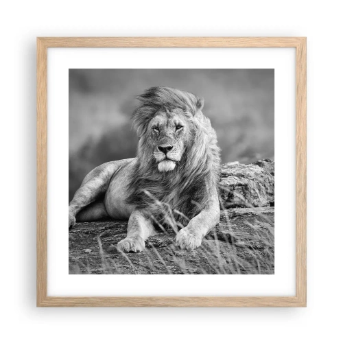 Poster în ramă de stejar deschis - Siesta regală - 40x40 cm