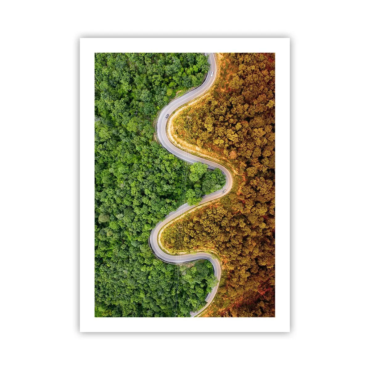 Poster - Frontiere și defilee - 50x70 cm