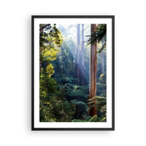 Poster în ramă neagră - Pădurea tropicală iluminată de lumina soarelui - 50x70cm - O poveste din pădure - Decorațiune modernă pentru perete pentru living și dormitor ARTTOR