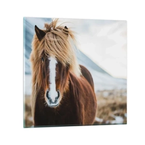 Tablou pe sticlă - Simțiți libertatea? - 40x40 cm