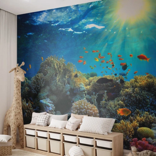 Tapet Premium Sand - Comori subacvatice - recif de corali, Ocean, Maritim - 450x315 cm