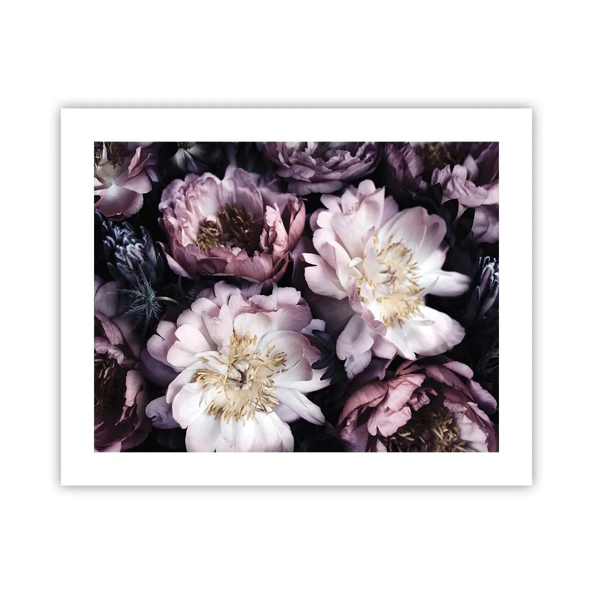 Poster - Buchet în stil vechi - 50x40 cm
