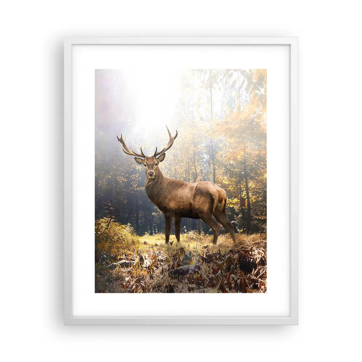 Poster în ramă albă - Măreție calmă - 40x50 cm