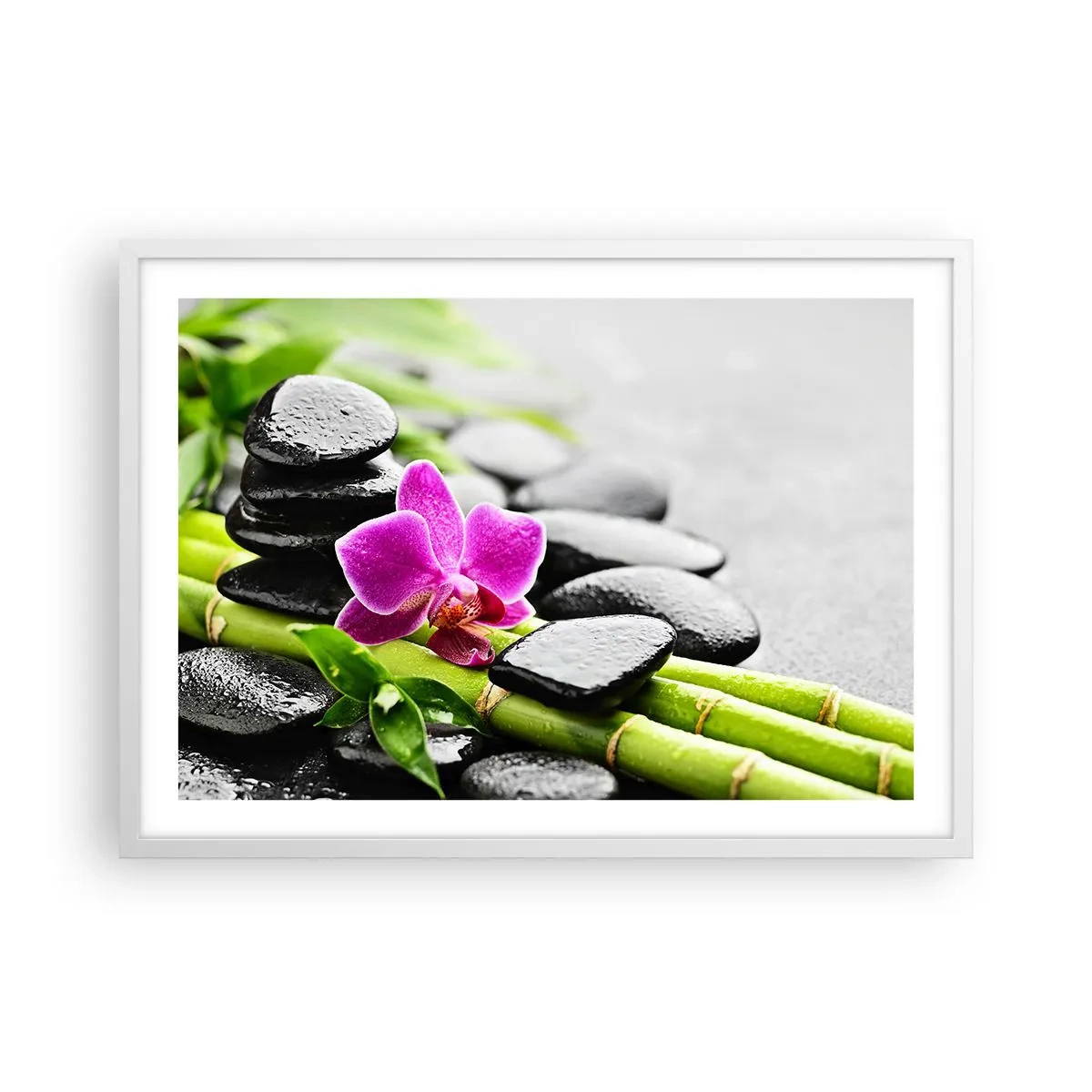 Poster în ramă albă - Într-un echilibru pașnic - 70x50 cm