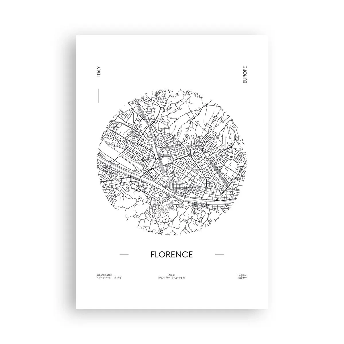 Poster - Anatomia Florenței - 70x100 cm