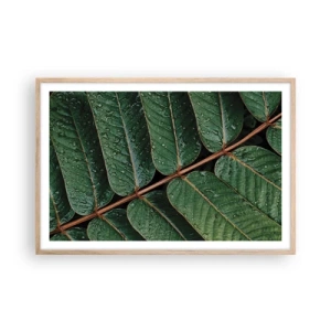 Poster în ramă de stejar deschis - Într-un ritm verde - 91x61 cm