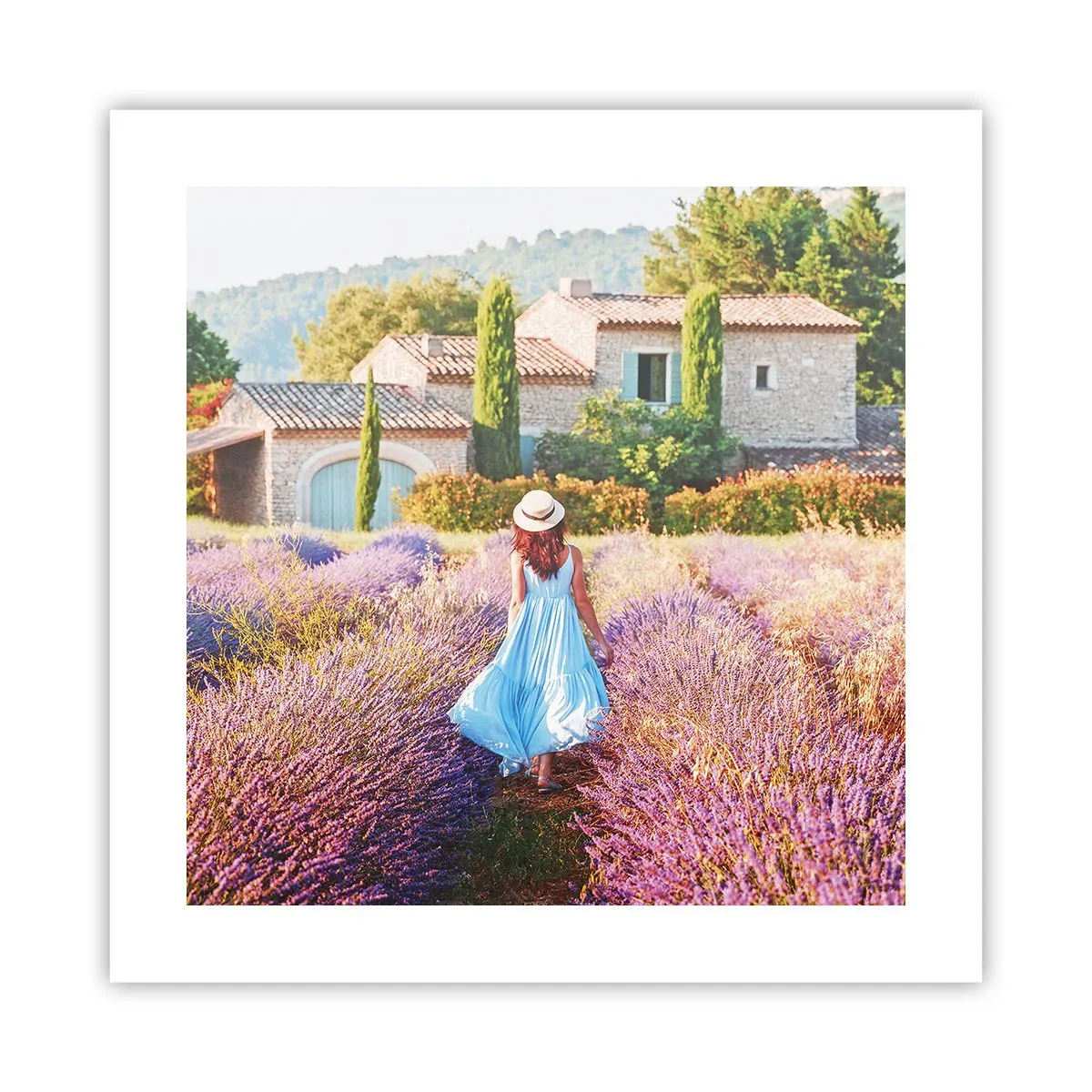 Poster - Fata de lavandă - 40x40 cm
