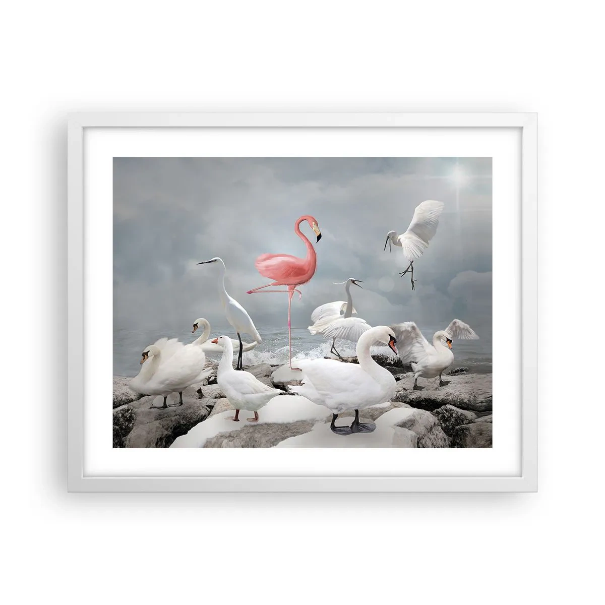 Poster în ramă albă - De unde am venit? - 50x40 cm