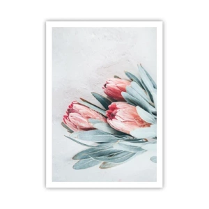 Poster - Rușinate de propria lor frumusețe - 70x100 cm