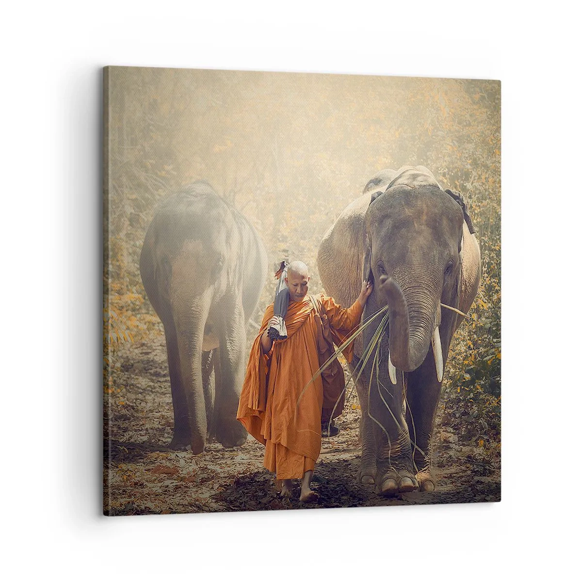 Tablou pe pânză - Înțelegere deplină - 60x60 cm