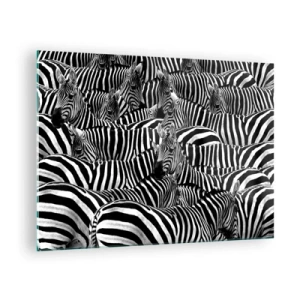Tablou pe sticlă - O turmă de zebre în monocrom - 70x50cm - Portret de grup cu dungi - Decorațiune modernă pentru perete pentru living și dormitor ARTTOR