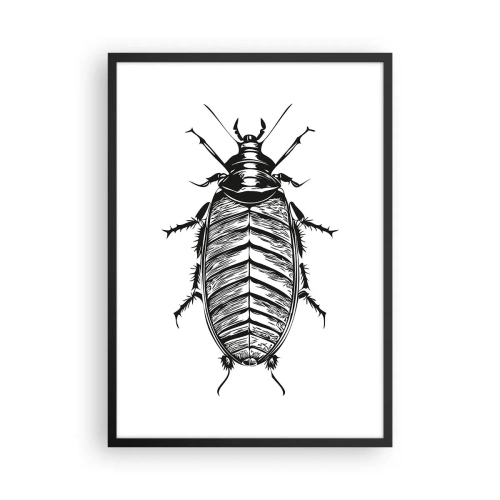 Poster în ramă neagră - Ilustrație alb-negru a unei insecte într-un stil de retail - 50x70cm - Ce specimen! - Decorațiune modernă pentru perete pentru living și dormitor ARTTOR