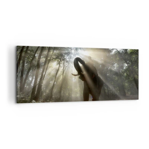 Tablou pe pânză - Sub o stea norocoasă - 100x40 cm