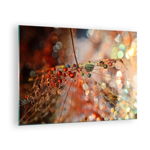 Tablou pe sticlă - Picături de apă pe o pânză de păianjen delicată în lumină bokeh - 70x50cm - Înfipt pe pânza de păianjen - Decorațiune modernă pentru perete pentru living și dormitor ARTTOR