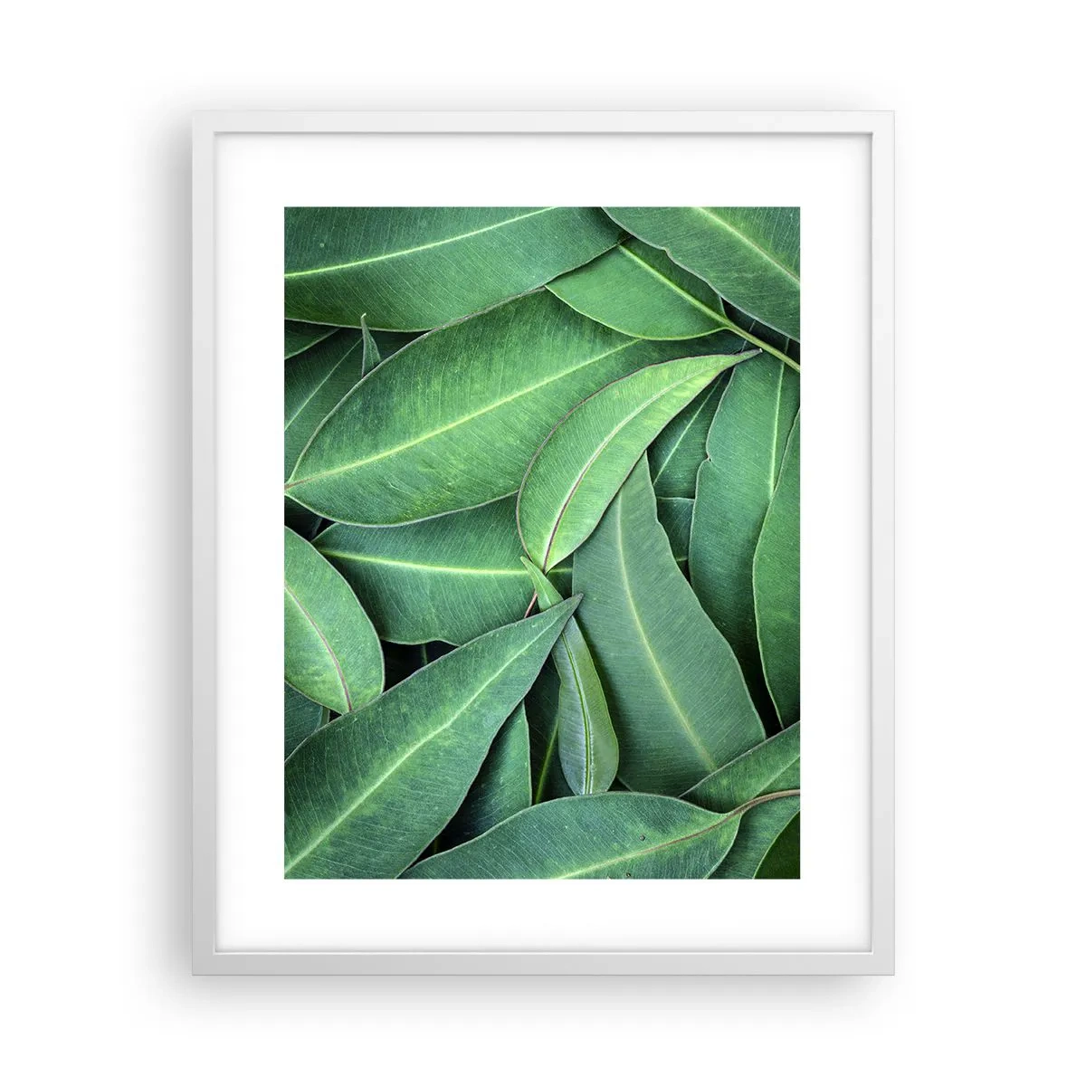Poster în ramă albă - Suculente și proaspete - 40x50 cm