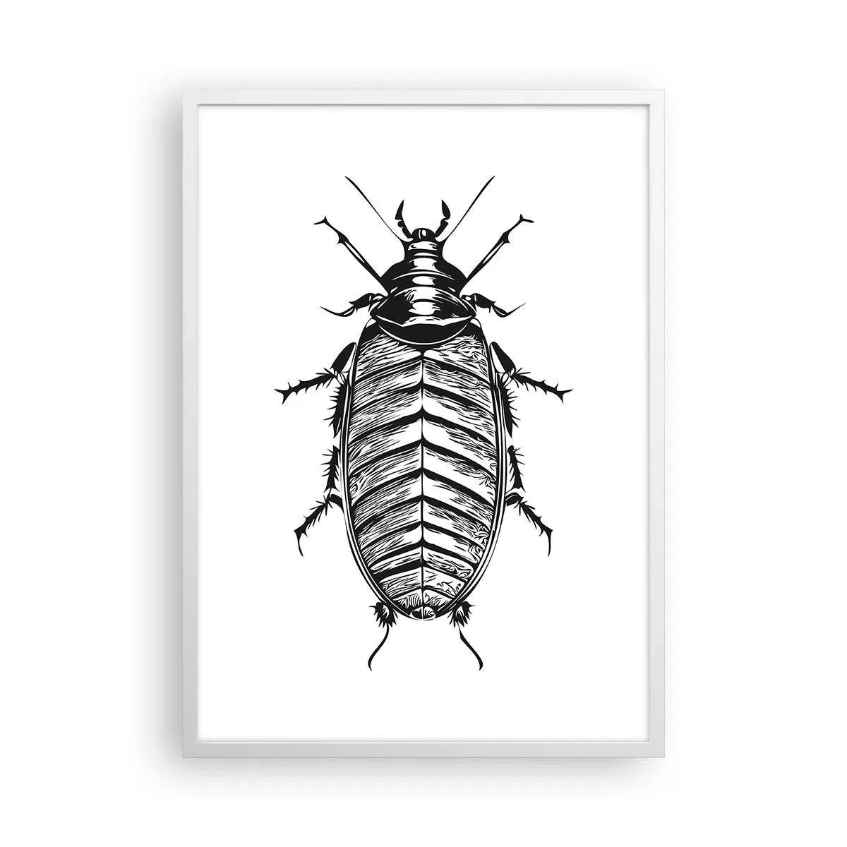 Poster în ramă albă - Ce specimen! - 50x70 cm