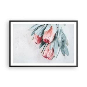 Poster în ramă neagră - Rușinate de propria lor frumusețe - 91x61 cm